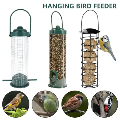 Bird+Supplies