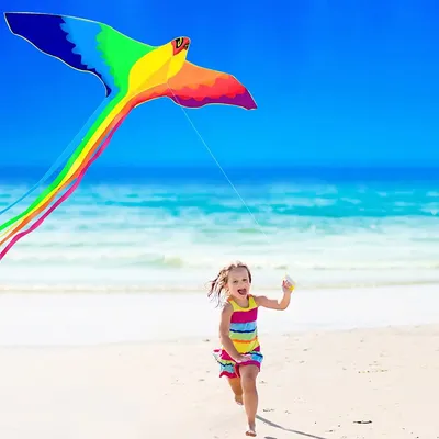 Strong Long Colorful Tail!Huge Beginner Phoenix Kites for Kids And Adults 74-Inch Come With String