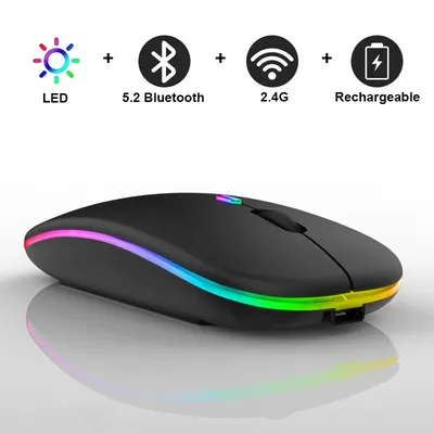 Computer+Gaming+Software