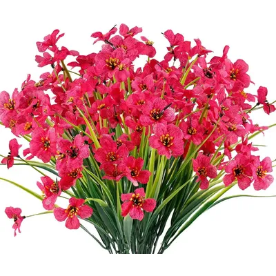 Flowers+Plants