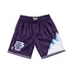 Mitchell & Ness, Sport, male, Purple, M, NBA Team Basketball Shorts