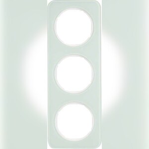 Berker Rahmen Glas/pows 10132109 Image