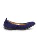 Anthropologie Shoes | Anthropologie Botkier Blue Suede Ballet Flats | Color: Blue/Silver | Size: 9