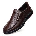 CCAFRET Men Shoes Men's Loafers Leather Casual Shoes Slip-On Hollow Men's Shoes Leather Sandals Casual Shoes Men's Shoes (Color : Dark Brown, Size : 7)