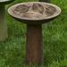 Campania International Birdbath Concrete | 23 H x 18.75 W x 18.75 D in | Wayfair B-160-FN