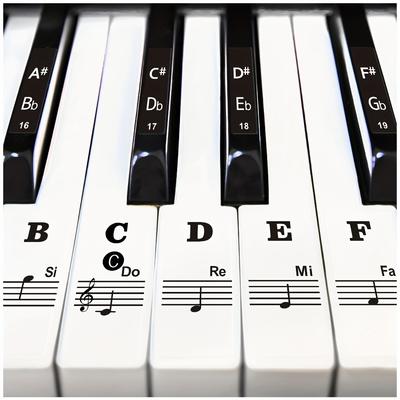 Piano Keyboard Stickers For 88/61/54/49/37 Keys Removable Piano Keyboard Letters Bold Large Letter Piano Stickers For Learning Notes Label For Beginners