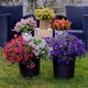 3 Bundles Artificial Flowers For Outdoors - Fake Plants No Fade Uv Resistant Plant - Spring Farmhouse Garden Greenery Home Decor