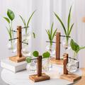 1/2/4pcs Hydroponic Glass Vase, Vintage Desktop Plant Terrarium Planter Bulb Vase, Water Planting Propagation Vase Planters Hydroponics Plants With Retro Wooden Stand Home Garden