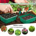 5 Packs, Plant Starter Tray Seedling Starter Kit With Humidity Domes Base Indoor Greenhouse Mini Propagator Station For Seeds Growing Starting (12 Cells Per Tray) seed Starter Tray