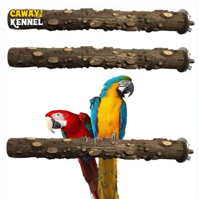Bird+Supplies