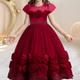 Fille Robe Formelle Robe De Bal 3D Fleur & Dentelle Robe Brodée Pour Enfants Pageant Mariage Demoiselle D'honneur Partie Maxi Princesse Communion Tulle Tutu Robes