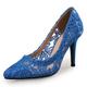 Femme Chaussures de mariage Escarpins Cadeaux de Saint-Valentin Soirée Talons de mariage Chaussures de mariée Chaussures de demoiselle d'honneur Dentelle Bout pointu Dentelle Mocassins Noir Rose Bleu