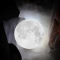 1pc Moon Light, Creative LED Night Light, Luminous Moon Light For Valentine's Day, Birthday Gift