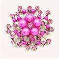 Femme Broche Elégant Mode Le style mignon Broche Bijoux Argent Rose Claire Rouge Pour Soirée