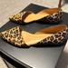 J. Crew Shoes | J -Crew Leopard Print Pointy Toe Flat Womens Shoes Size 9.5 | Color: Black/Brown | Size: 9.5