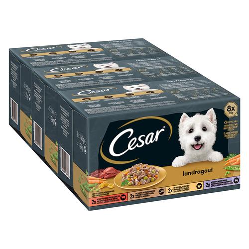 8x 150g Country Kitchen Favourites Cesar Hundefutter nass