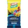 Terriccio Cinquestelle 45 litri Vigorplant