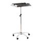 salon cart Salon Rolling Cart Stainless Steel Salon Trolley Hair Extension Tool Tray Trolley Cart With Casters For Barber Salon Cart Portable
