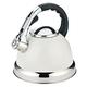 Whistling Kettle 3.5L Whistling Tea Kettle Stainless Steel Kettle Gas General Whistle Kettle with Handle Tea Kettle Kitchen Camping Stainless Steel Kettle (Color : B, Size : 22.5 * 17cm)