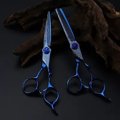 Ciseaux professionnels de coupe de cheveux en acier bleu damas 6 pouces vis à gemme outils de