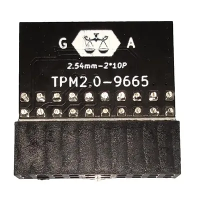 20pin Protection Module For ASUS TPM-L R2.0/Gigabyte GC-TPM2.0 Compatible With Intel And AMD