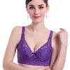 C D E Große Größe 2024 Frauen BH Bralette Ultradünne Reine Baumwolle Büstenhalter aushöhlen Unterwäsche Sexy Spitze Plus Größe 34-46 B C D Tassen