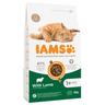 IAMS Advanced Nutrition Adult Cat con Agnello - Set %: 2 x 3 kg