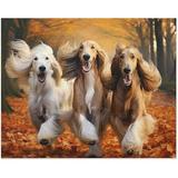 Wooden Puzzles - Dogs in Forest Afghan Hounds in Autumn Park-Jigsaw Puzzle 1000 Piece for Adults and Kids Card Game Cute Animals Large Puzzle Educational Games Decompression Toys Best Gift