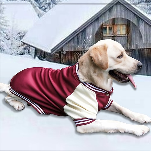 Hund Katze Mäntel Jacke Sport Mode Winter Atmungsaktiv Weich Waschbar Bequem Outdoor Alltagstauglich Hundebekleidung for Bichon Frise Zwergspitz Baby Haustier Papillon Klein Image