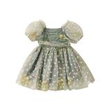 Bagilaanoe Toddler Baby Girl Party Dress Flower Embroidered Short Sleeve A-line Princess Dresses 6M 12M 18M 24M 3T 4T Kid Summer Patchwork Tulle Skirt