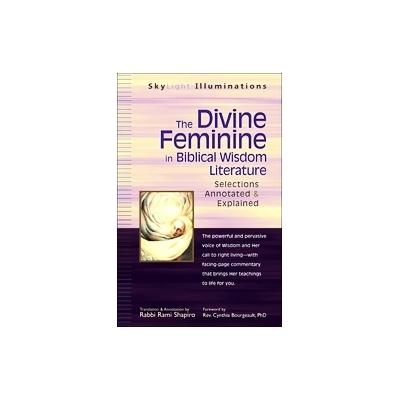 The Divine Feminine in Biblical Wisdom Literature by Rami M. Shapiro (Paperback - SkyLight Paths Pub