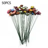 50pcs Butterfly Stakes Colorful stravagante Butterfly Stakes Outdoor Yard Flower Pot Bed Garden Yard