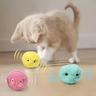 Chirping Ball Interactive Cat Plush Toy Ball - Squeaky Sound Training Toy For Cats - Fun Pet Toy Ball For Playtime And Exercise