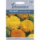 Johnsons Seeds - Pictorial Pack - Flower - Marigold (African) Double Mixed - 100 Seeds
