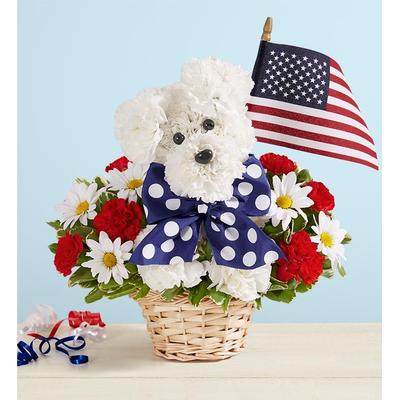1-800-Flowers Gifts Delivery Yankee Doodle Doggie