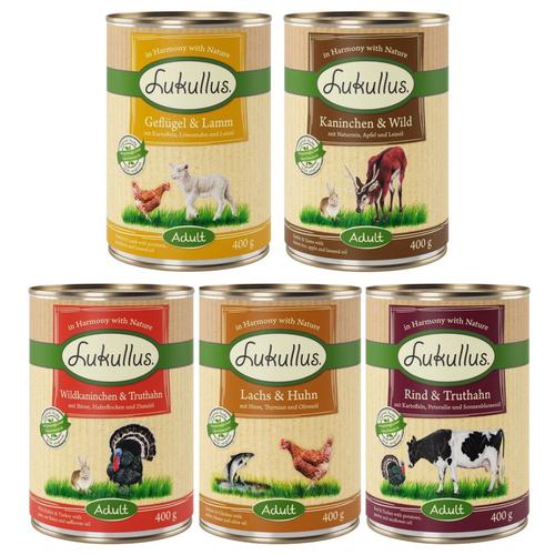 10 + 2 gratis! 12 x 400 g Sparpaket Lukullus Naturkost - Mixpaket 1 (5 Sorten)