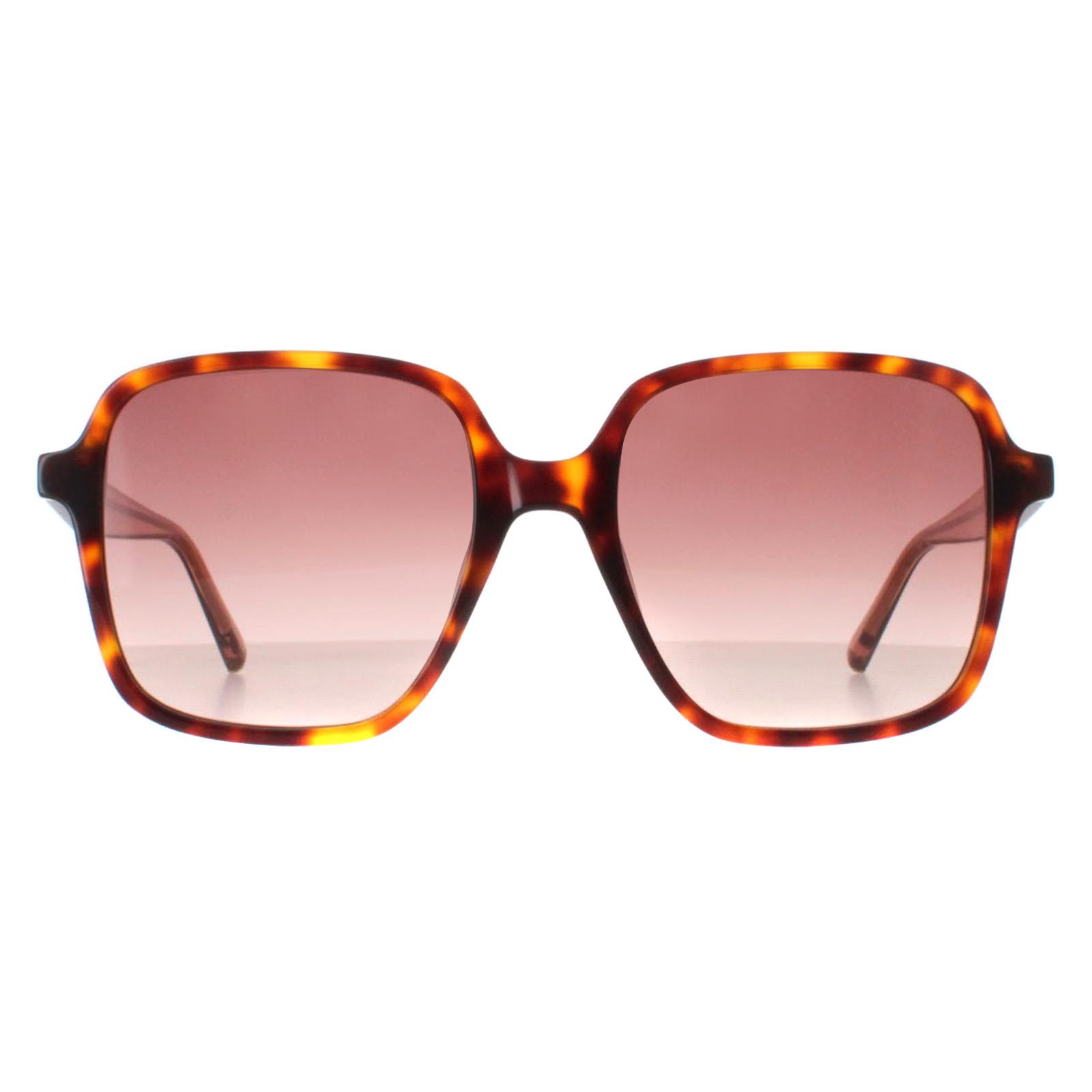 Ted Baker Sonnenbrille TB1688 100 52 Image