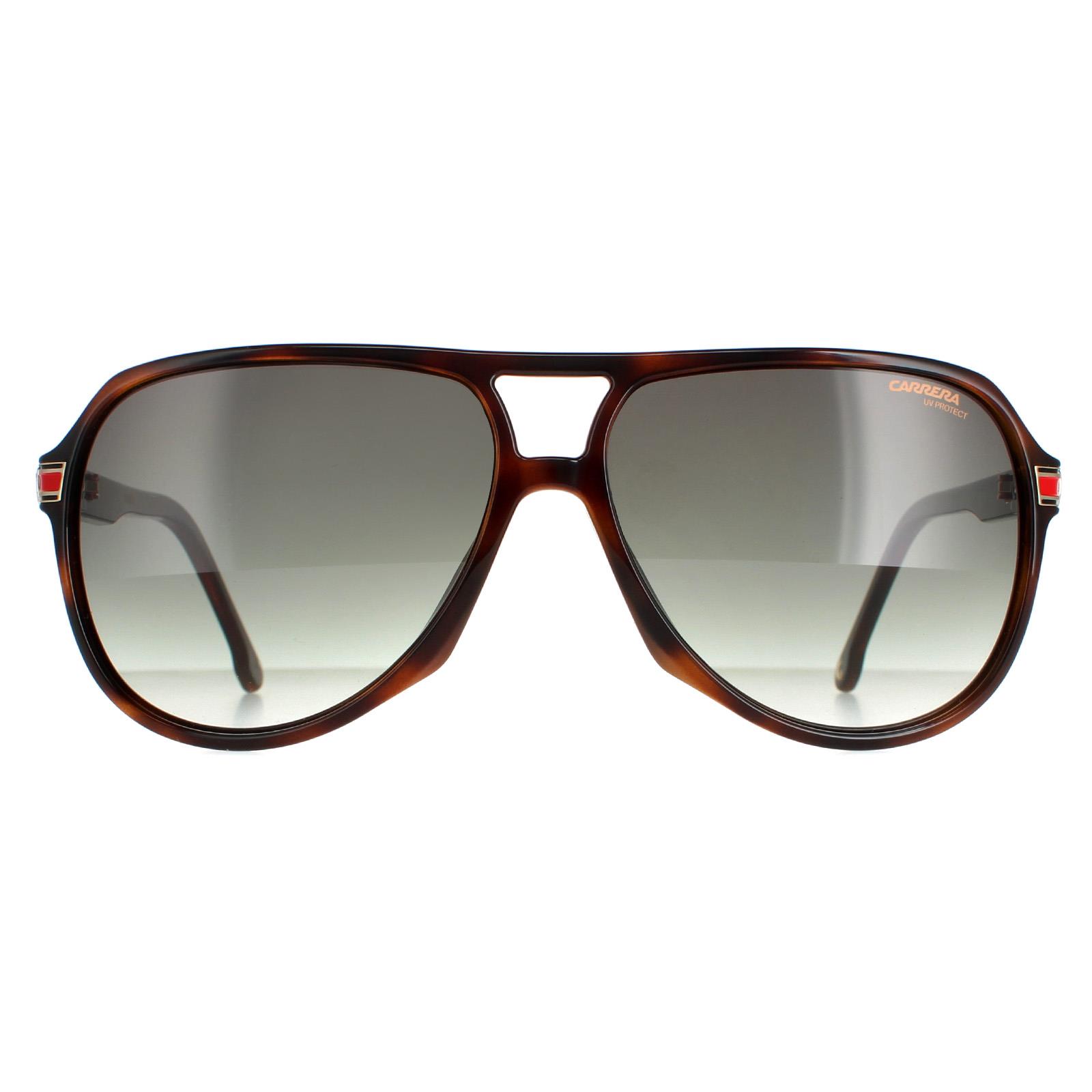Carrera Aviator Unisex Havanna Grün Verlauf 1045/S Image