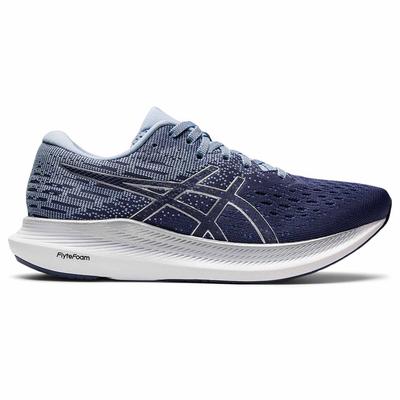 Asics Evorid 2 Womens Blue Running Trainer