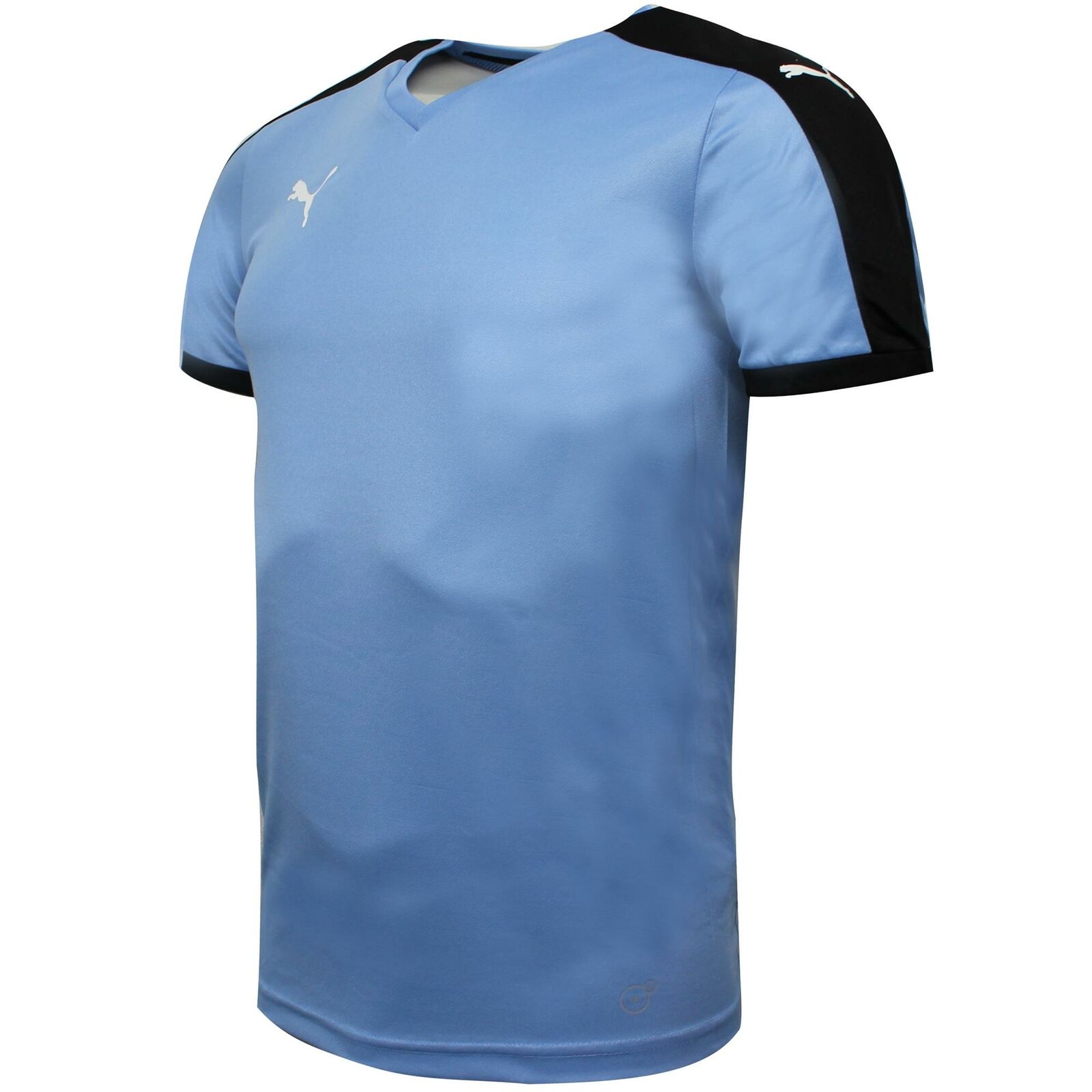 Puma Pitch kurzärmeliges Hemd Training Fitnessstudio T -Shirt Blue - Herren Image