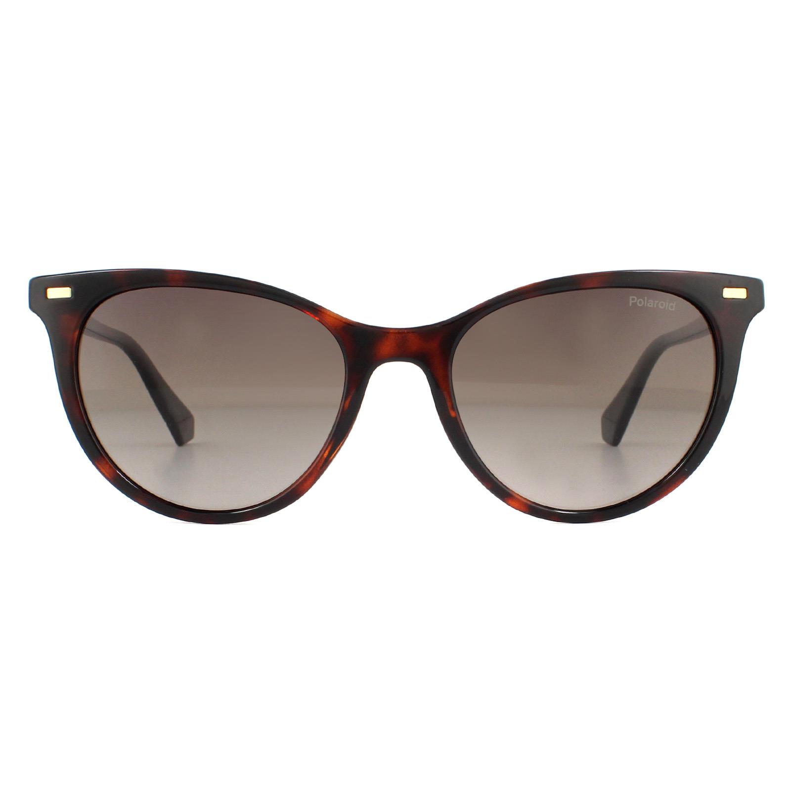 Polaroid Cat Eye Damen Havanna Braun Gradient Polarisierte Sonnenbrille Image