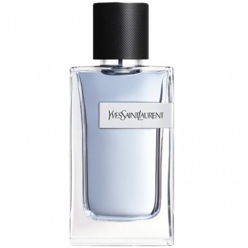 YSL Y für Männer Edt Spray 60 ml Image