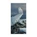 Trademark Fine Art Lakeshore Ice Canvas Art by Wilhelm Goebel