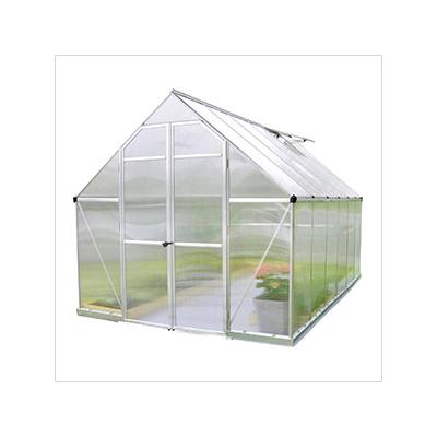 Palram-Canopia Essence 8' x 12' Greenhouse (Silver)