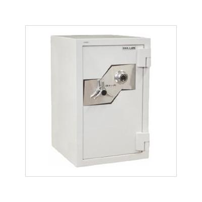 Hollon Safe Company 2-Hour Fire and Burglary Safe with Combination Lock