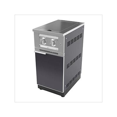 NewAge Outdoor Kitchens Aluminum Slate Grey Dual Side Burner and Cabinet (Liquid Propane)