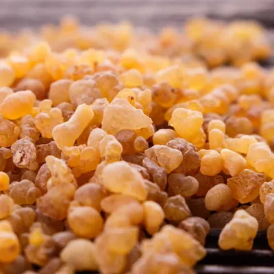 Frankincense Resin Organic Incense Brock Oliban Medicine Hydrosol Clean Frank Incense Nipple