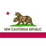 90*150cm nuova bandiera della repubblica della california