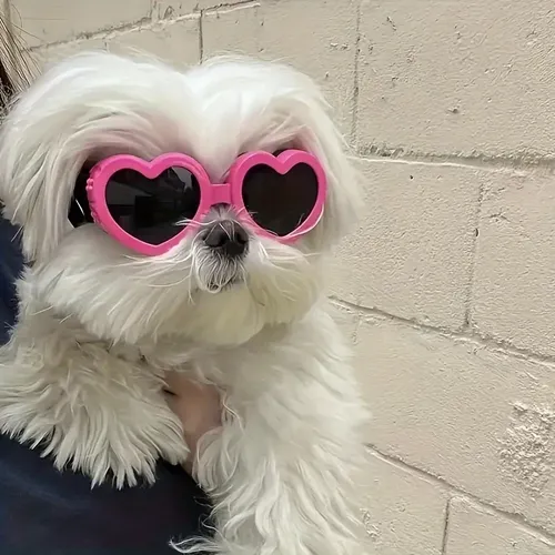 1PC Haustier brille Hunde bedarf Schutzbrille Sonnenschutz UV-Schutz Hundes onnen brille