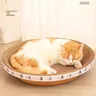 Wellpappe Katzen kratzer runde ovale Schleif klaue Spielzeug Kätzchen Wellpappe Papier matte